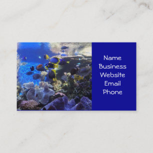 Fish tank 2 business cards