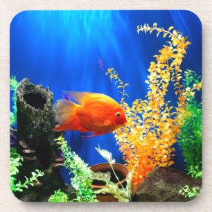 Fish tank aquarium coaster