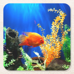 Fish tank aquarium square paper coaster