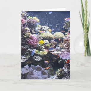 Fish Tank Card