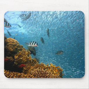Fish, Underwater, Corals Mouse Pad