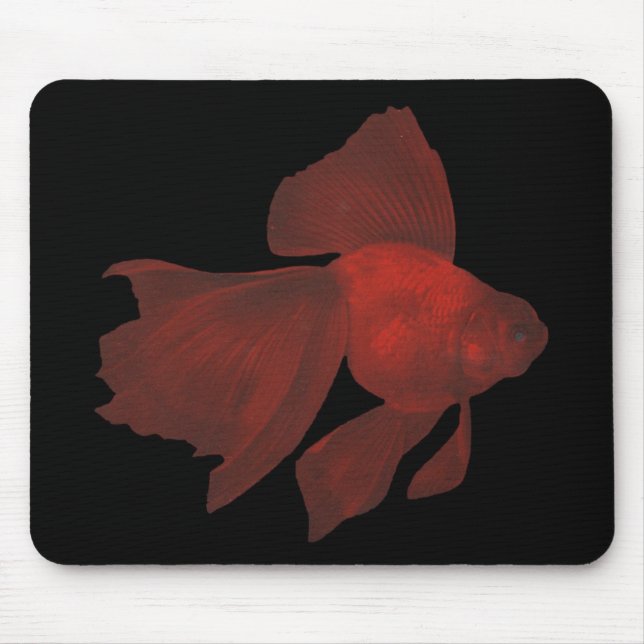 Fish - Veiltail Goldfish - Carassius auratus Mouse Pad (Front)