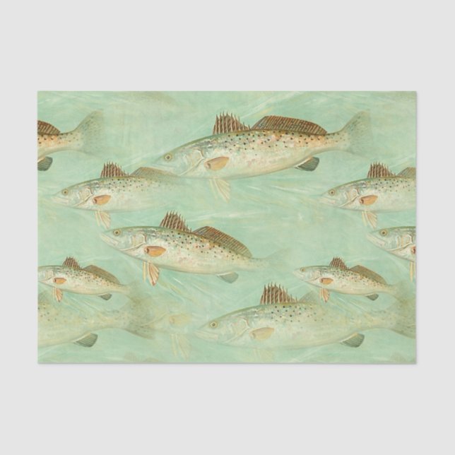 Fish vintage colour illustration pattern tissue paper (Front)
