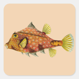 fish wrap customise me stickers