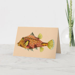 fish wrap greeting card