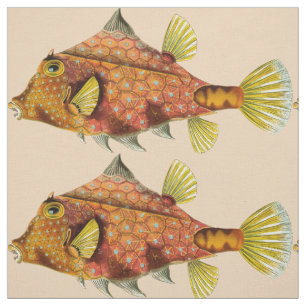 fish wrap print fabric