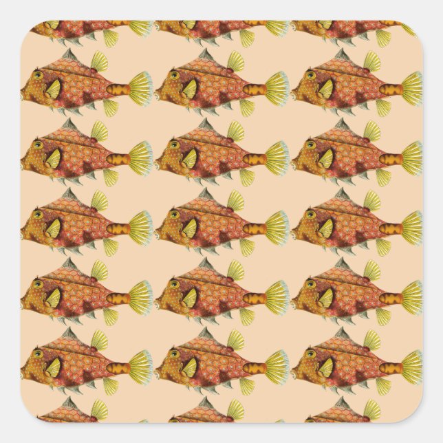 fish wrap stickers (Front)