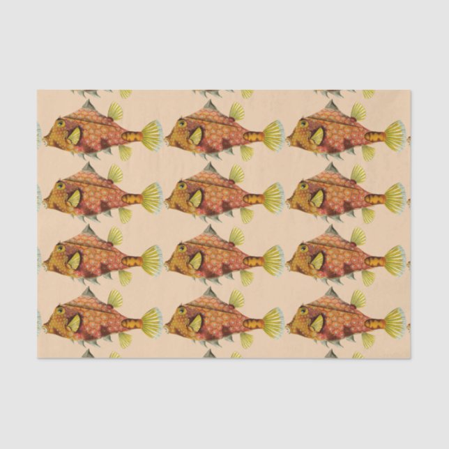fish wrap tissue paper (Front)