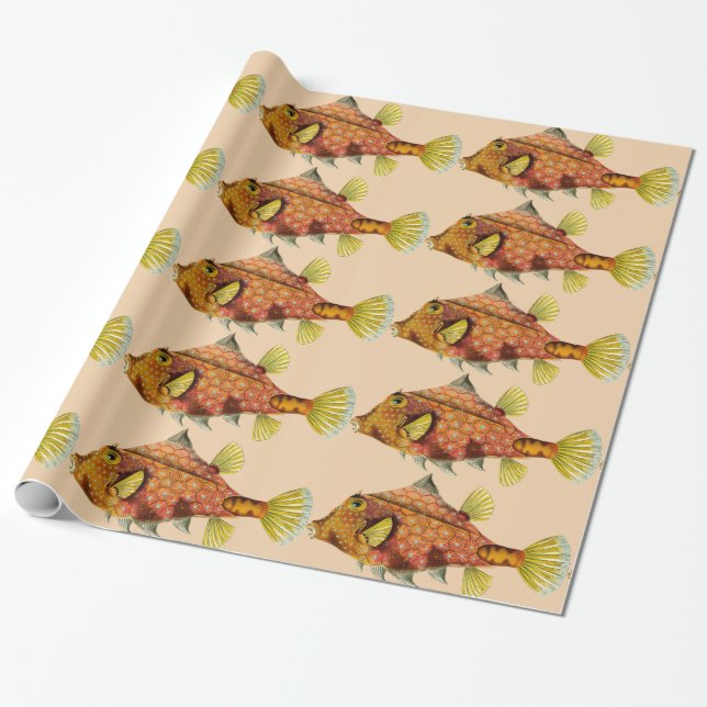 fish wrap wrapping paper (Unrolled)