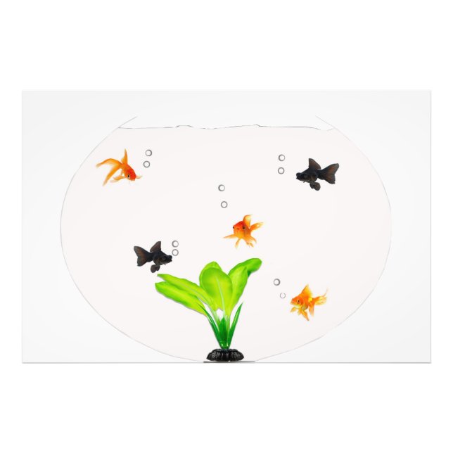 Fishbowl Photo Print (Front)