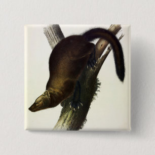 Fisher (Pennant's Marten or Cat Fisher) by Audubon 15 Cm Square Badge