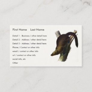 Fisher (Pennant's Marten or Cat Fisher) by Audubon Business Card