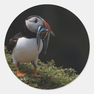 Fisher Puffin Classic Round Sticker