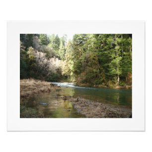 Fisherman River Steelhead Trout Fly Fishing Rapids Photo Print
