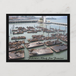 fisherman's wharf postcard