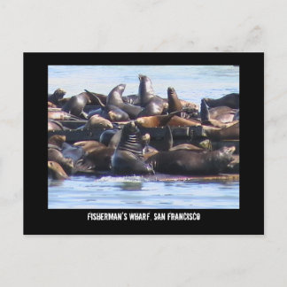 Fisherman's Wharf Postcard