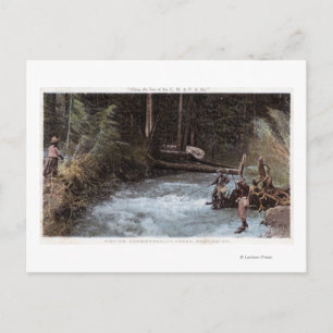 Fishermen Fishing at Commonwealth Creek Postcard