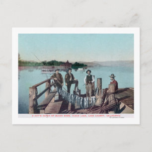 Fishermen Showing the Day's Catch Postcard