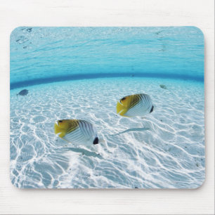 Fishes in the sea 2 mouse pad