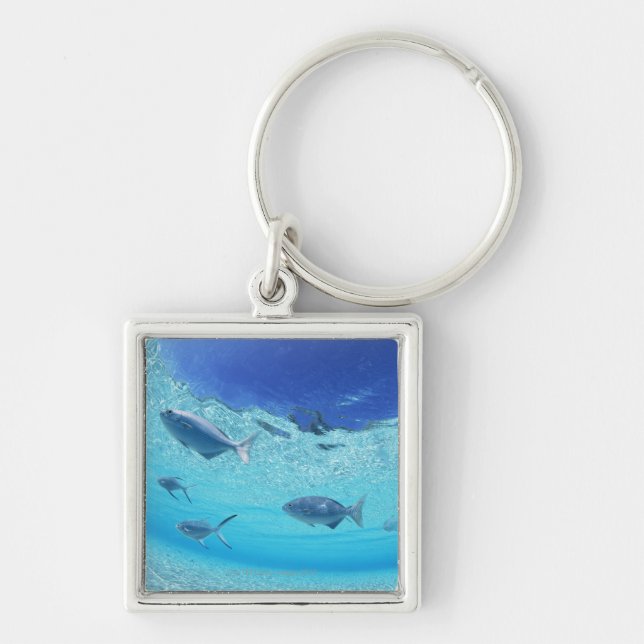 Fishes in the sea 4 key ring (Front)
