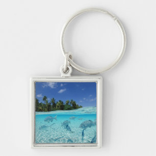 Fishes in the sea key ring