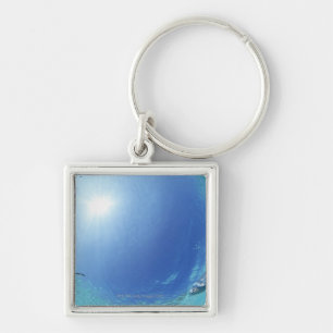 Fishes in the sea key ring