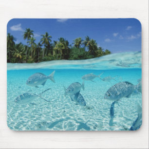Fishes in the sea mouse pad