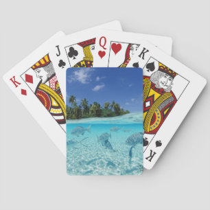 Fishes in the sea playing cards