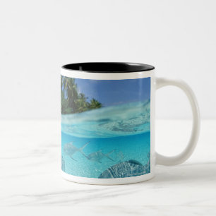 Fishes in the sea Two-Tone coffee mug