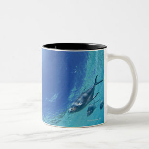 Fishes in the sea Two-Tone coffee mug