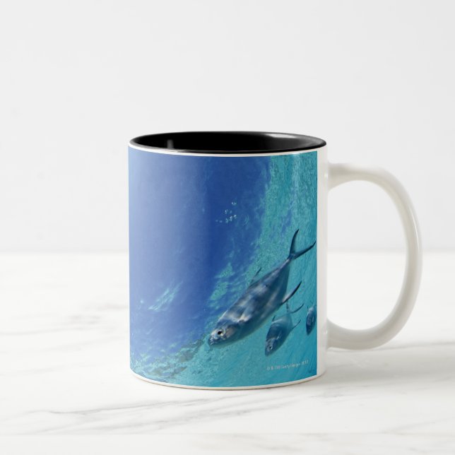 Fishes in the sea Two-Tone coffee mug (Right)