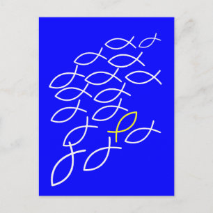 Fishes Postcard