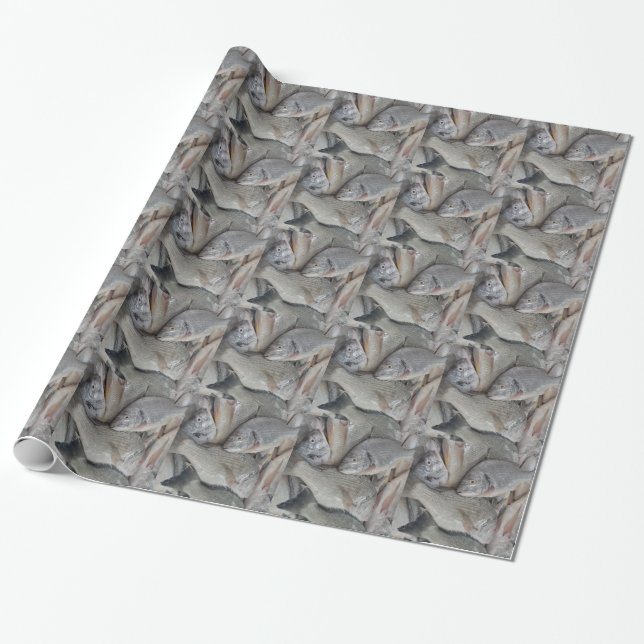 Fishes Wrapping Paper (Unrolled)