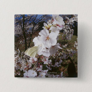 Fisheye view of Butterfly on flower 15 Cm Square Badge