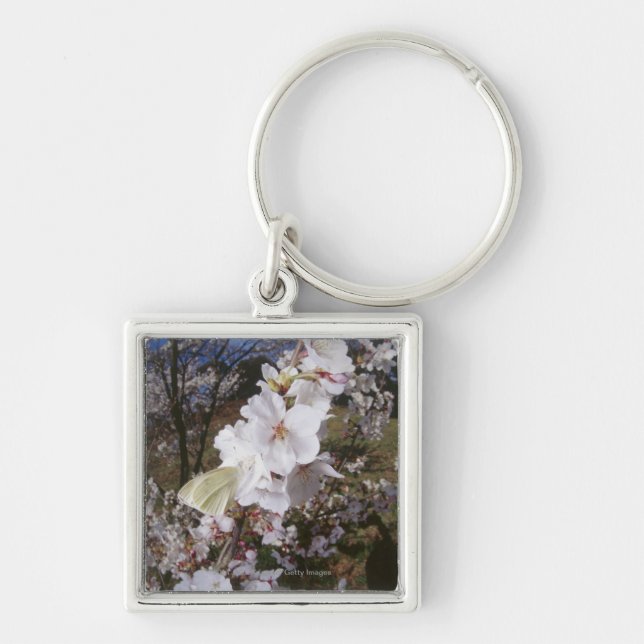 Fisheye view of Butterfly on flower Key Ring (Front)