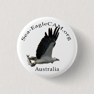 Fishing Adult Sea-Eagle Button