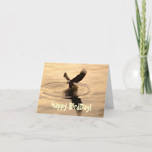 Fishing Bald Eagle at Dusk Funny Birthday Card