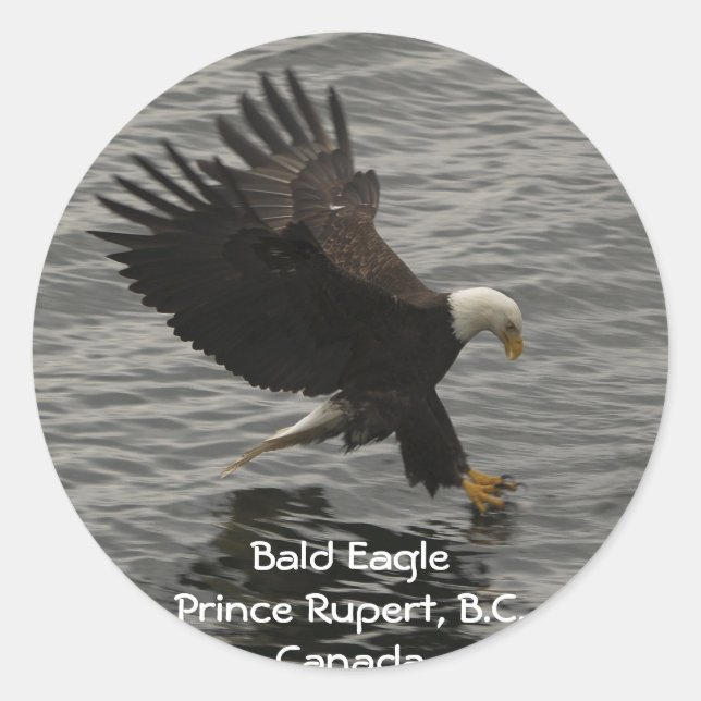 Fishing Bald Eagle Gift Set Classic Round Sticker (Front)
