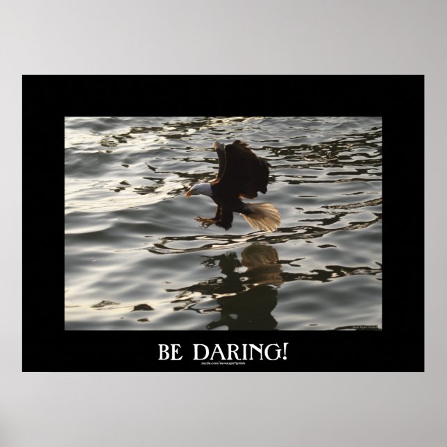 Fishing Bald Eagle Motivational Photo Poster (Front)