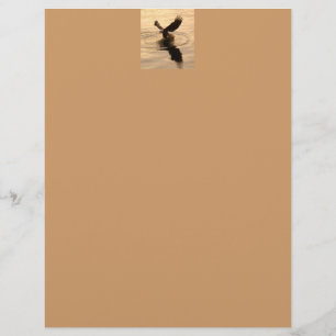 Fishing Bald Eagle on Tan Wildlife Paper
