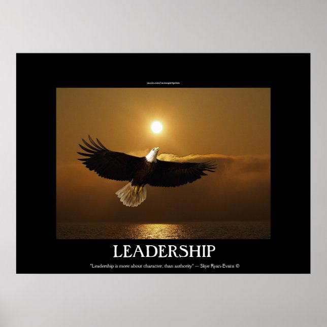 Fishing Bald Eagle & Sunset Motivational Poster (Front)