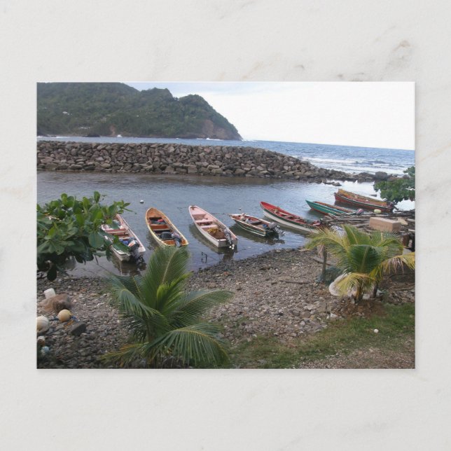 Fishing Boats Postcard (Front)