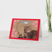 Fishing Cat Romantic Valentine's Day