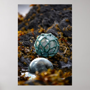 Fishing float in tide pool, Alaska Poster