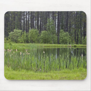 Fishing pond mouse pad