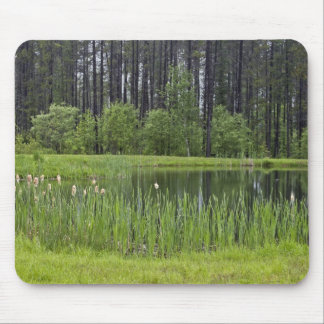 Fishing pond mouse pad