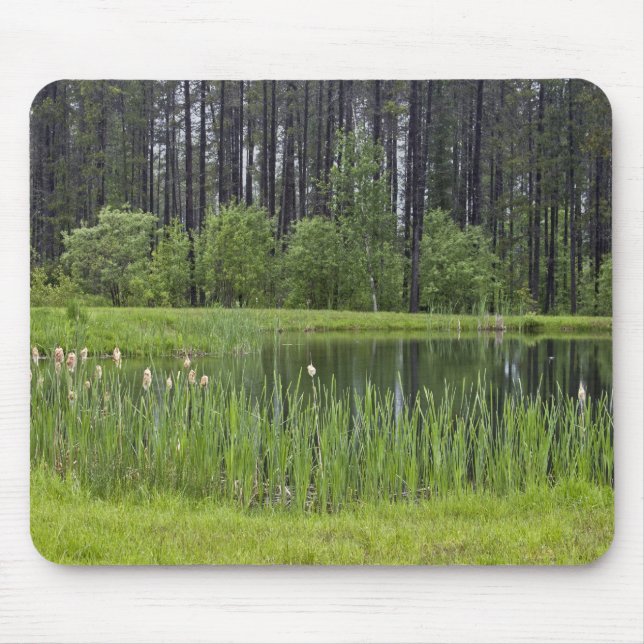 Fishing pond mouse pad (Front)