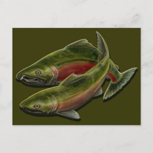 Fishing Postcard Custom BC Wildlife Postcards
