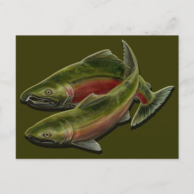 Fishing Postcard Custom BC Wildlife Postcards (Front)