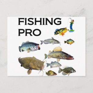 Fishing Pro Postcard